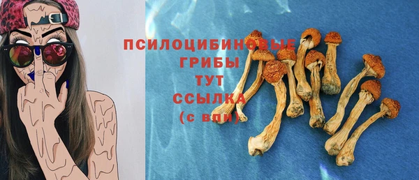 дурь Алзамай