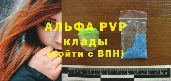 гидра Алексин